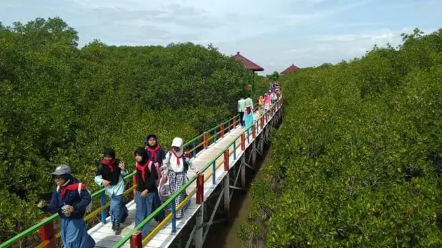 Ekowisata Mangrove Lembung