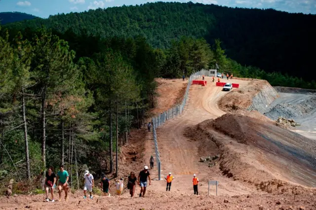 Ormanlık alanda bir yol