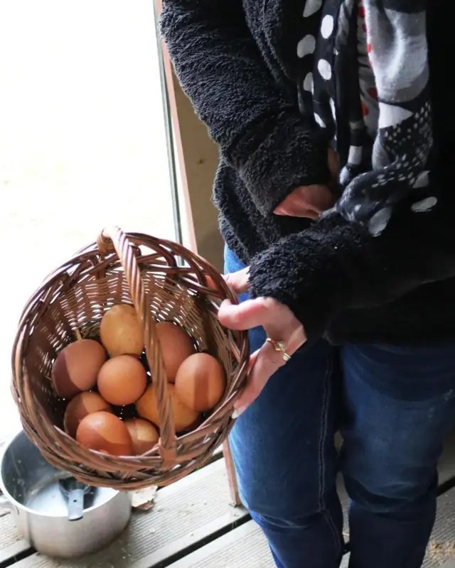 Mulher segurando cesta de ovos