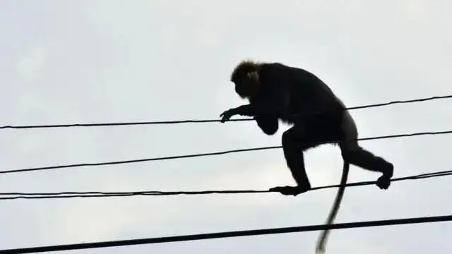 இன்றைய டாப் 5 நியூஸ்
