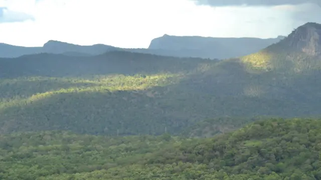 இந்தியாவிலேயே அதிகளவில் யானை-மனித மோதல் நடக்கும் கோவை 
