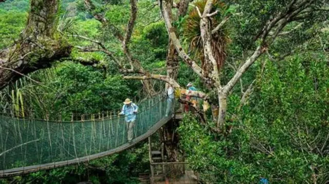 Nchini Peru kuna madaraja ya kusimamishwa yapatayo 200 ambayo msukumo wake ulikuwa yale yaliyotengenezwa na Inka.