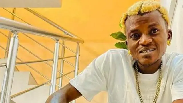 aworan okorin Portable 