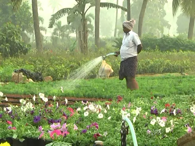 ఉద్యాన పంటలు