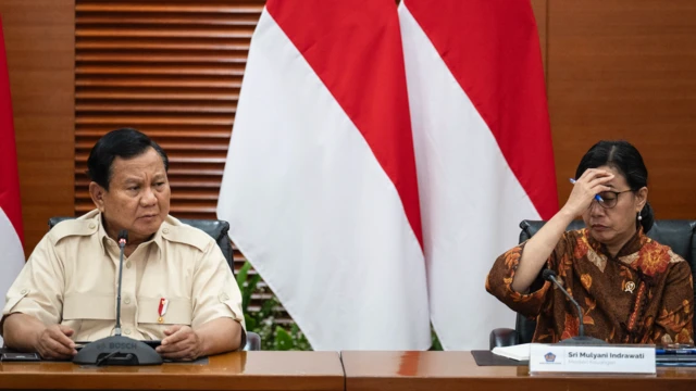 PPN12%, Prabowo, Sri Mulyani