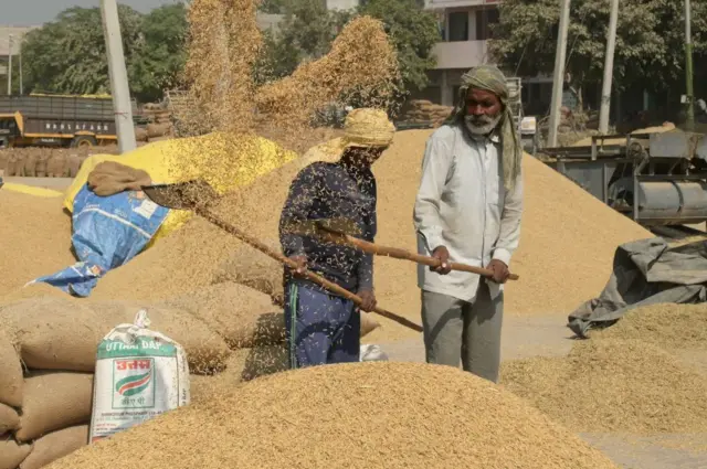 ਸੰਕੇਤਕ ਤਸਵੀਰ