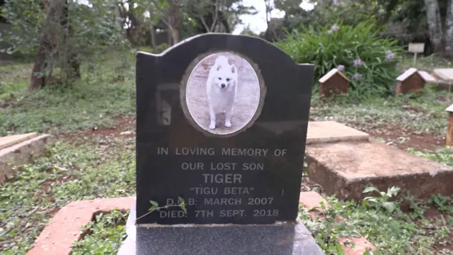 Ni picha ya kaburi la mbwa ambaye mmiliki wake alimchukulia kama mtoto wao.