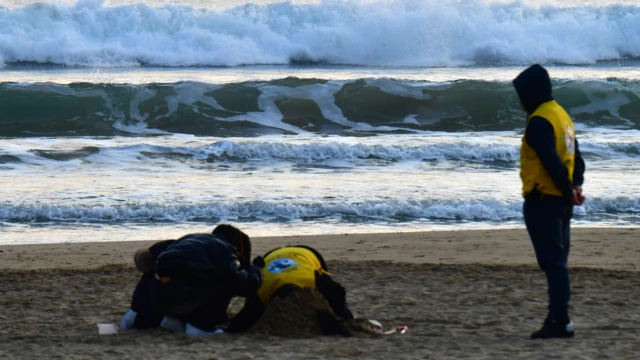 2일 오전 경북 포항시 북구 영일대해수욕장으로 너울성 파도가 밀려들고 있다. 포항시는 지난 1일 일본 해역에서 발생한 강진에 따른 지진해일이 오후 7시를 전후해 동해안 해안에 도달했지만 현재까지 피해는 없다고 밝혔다