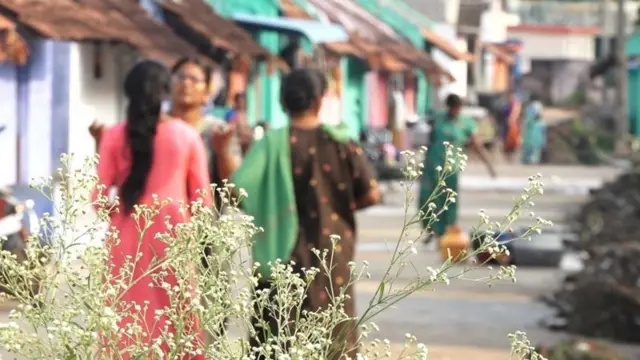 வாச்சாத்தி வழக்கு