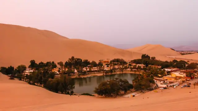 El oasis rodeado de árboles y casas