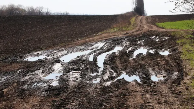 Дорога, покрытая грязью вдоль поля