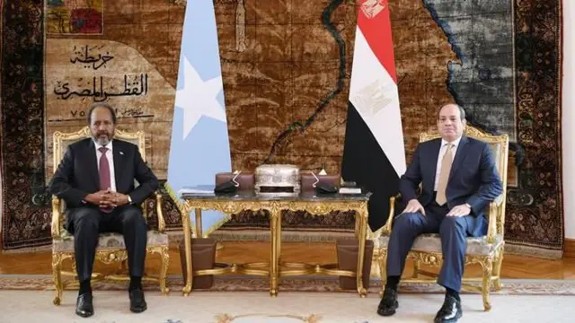 የሶማሊያው ፕሬዝዳንት ሐሰን ሼክ ሙሐመድ እና የግብፁ ፕሬዝዳንት አብደል ፋታህ አል ሲሲ በካይሮ 