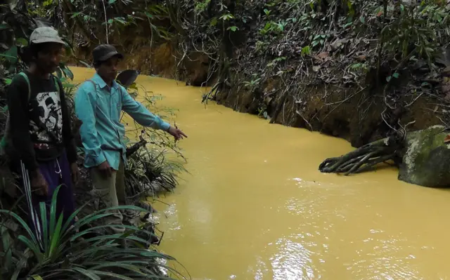 Limbah dari perkebunan sawit disebut mengotori Sungai Nayan di Kalimantan Timur.