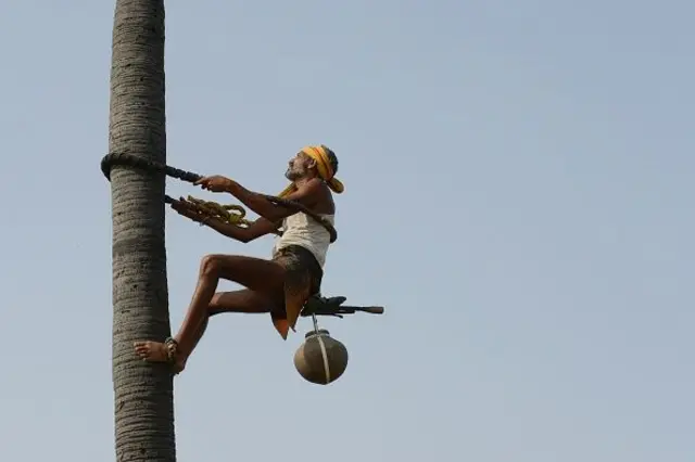 కల్లు గీత కార్మికుడు