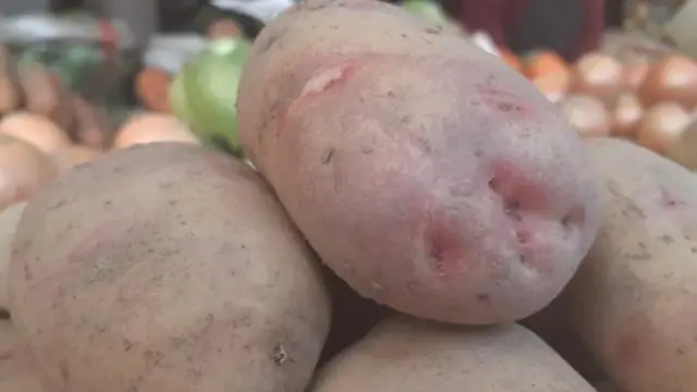 ЖК депутаты Жанар Акаев жада калса картошка Орусиядан келип жатканын айтты