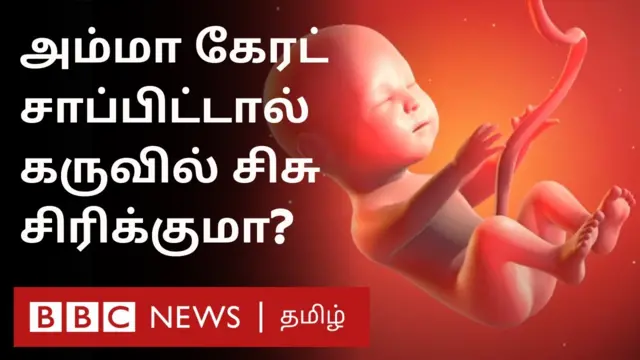கருவில் சிசு