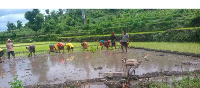 अर्थतन्त्र