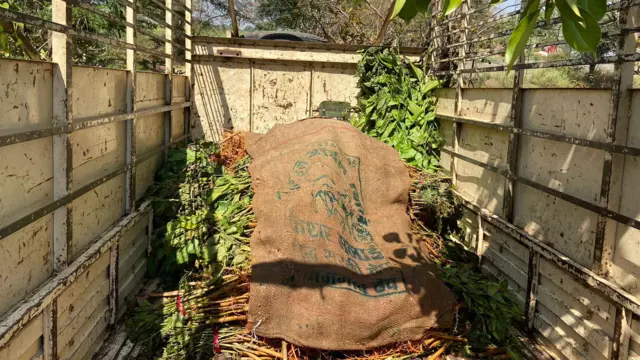 शेतकऱ्यांना विक्री करण्यात आलेली रोपं.