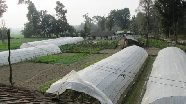 टनेल खेती 