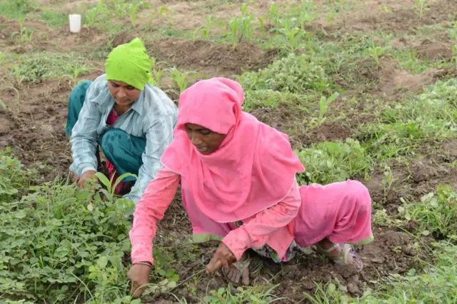 இயற்கை வேளாண்மை