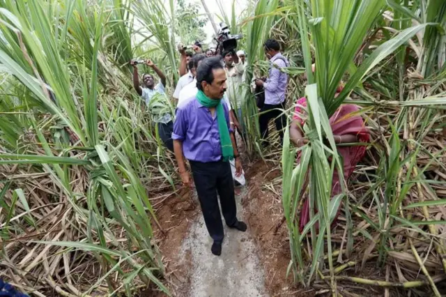 ஸ்டாலின் பொங்கல் கரும்பு பரிசு