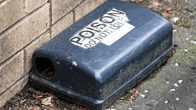 一個放在地上的滅鼠藥盒