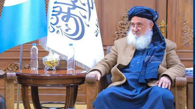 اقتصاد وزیر قاري دین محمد حنیف د مرستندویو ټولنو له استازو سره په لیدنه کې وویل  چې دا کسان په نهو ولایتونو کې بې ځایه شوې دي. 

