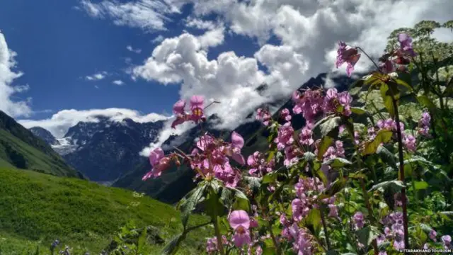 பூக்கள் பள்ளத்தாக்கு