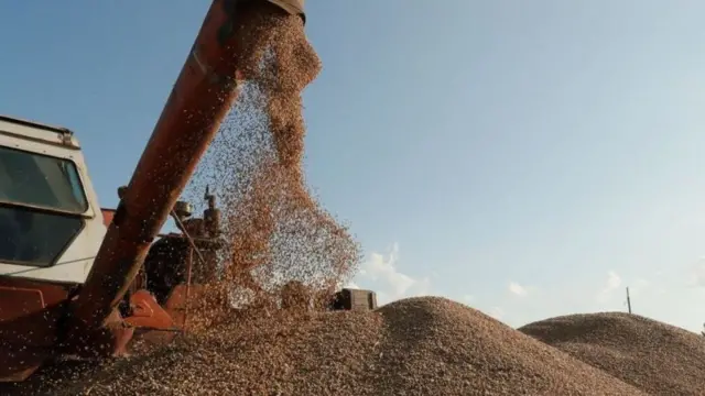 Máquina agrícola colhendo grãos na Ucrânia