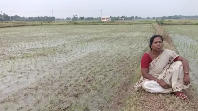 தமிழ்நாடு விவசாயிகள் குறுவை சாகுபடி 