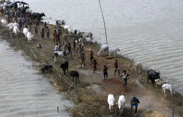 બિહારની કોશી નદીમાં પુર આવેલું તે સમયના દ્રશ્યો (ફાઇલ ફોટો)