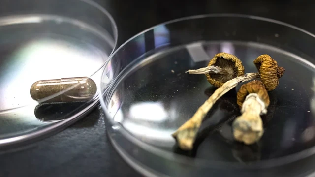 dve laboratorijske posude, levo je kapsula sa lekom unutra a desno magične pečurke