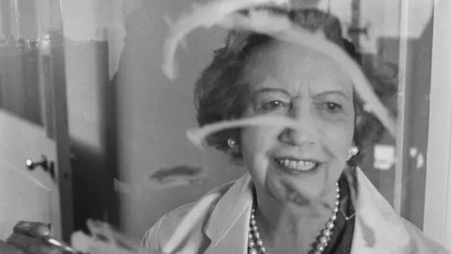 அடர் சிவப்பு நிற லிப்ஸ்டிக், பெண்ணுடல்