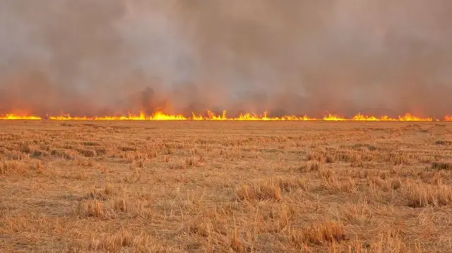 खेतों में जलती पराली (फ़ाइल फ़ोटो)