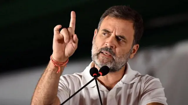 రాహుల్ గాంధీ ద్వంద్వ పౌరసత్వం, 