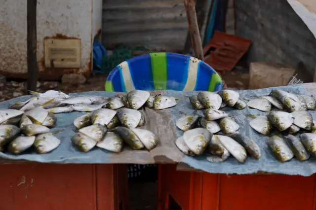 Des poissons frais exposés pour la vente