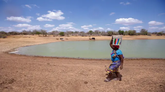 ਪਾਣੀ ਭਰ ਕੇ ਲਿਆ ਰਹੀ ਔਰਤ