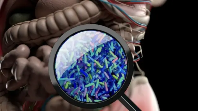 நுண்ணுயிரிகள்