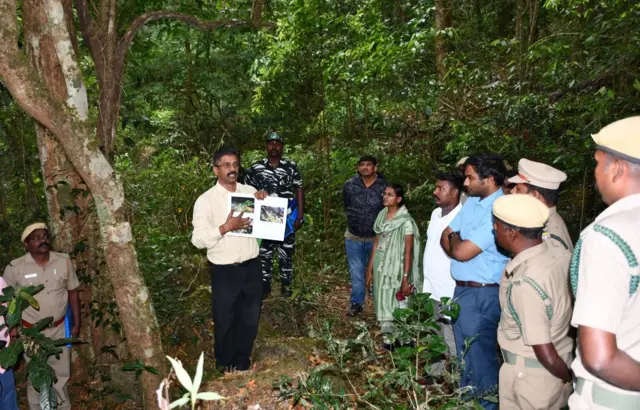 ஆனைமலை, தாவரங்கள், காடுகள், இயற்கை, மேற்குத் தொடர்ச்சி மலை
