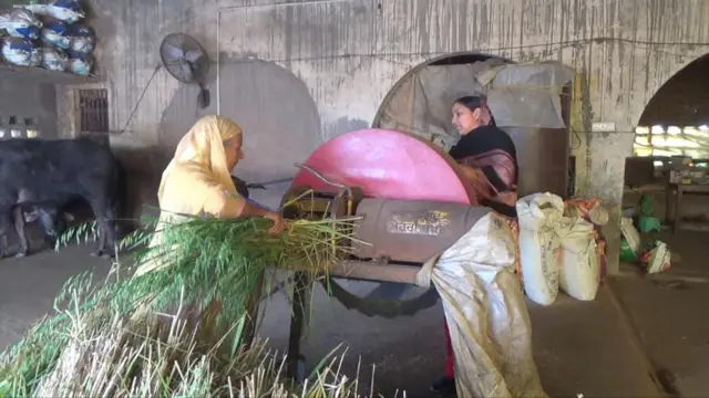 ਗੁਰਮੀਤ ਕੌਰ