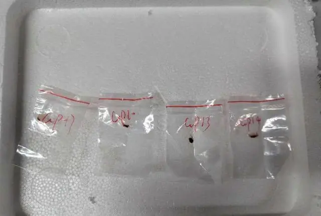 पैथोजेन