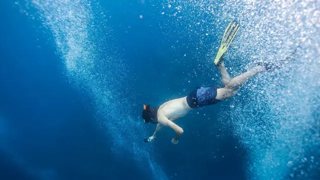 바닷속을 헤엄치는 한 남성