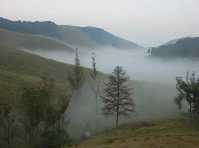 வால்பாறை