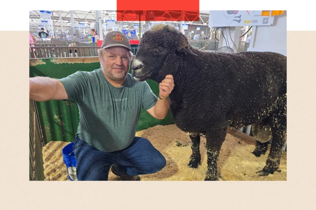 Participante da Feira Estadual de Iowa, ao lado de um grande carneiro marrom.