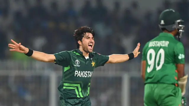 মুস্তাফিজের উইকেট নিয়ে মোহাম্মদ ওয়াসিমের উদযাপন