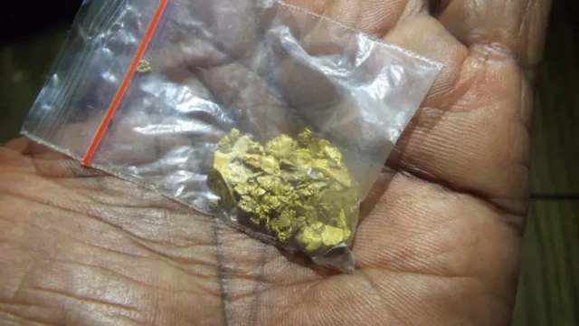 Tambang emas ilegal Papua