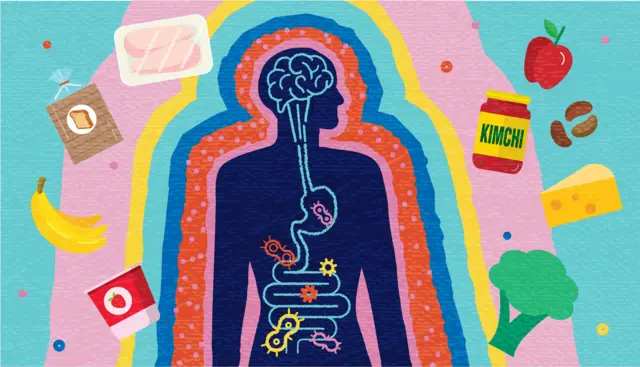 A graphic linking a person's brain to their intestines, with drawings of food including a jar of kimchi, broccoli and a banana surrounding the outline of the body.