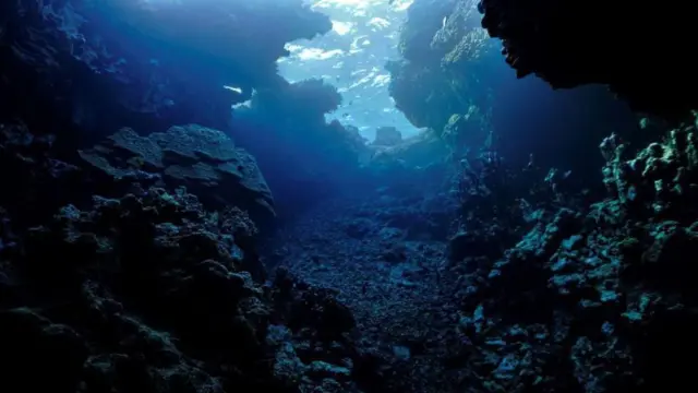 సముద్ర ఖనిజాలు 