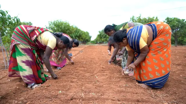 వన్నూరమ్మ వ్యవసాయం బాటలో మరికొంత మంది