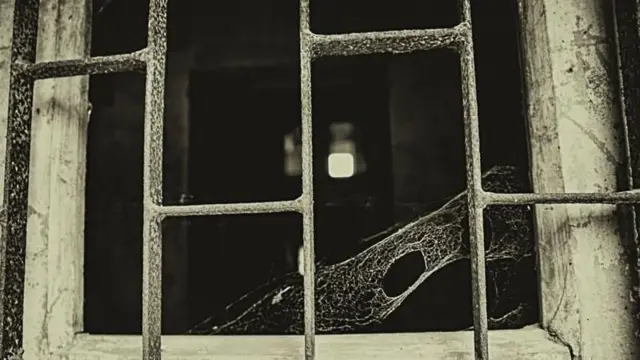 হাইকোর্টের রায়ে বলা হয়েছে, মৃত্যুদণ্ডাদেশ চূড়ান্ত হওয়ার আগে আসামিদের কনডেম সেলে রাখা যাবে না 